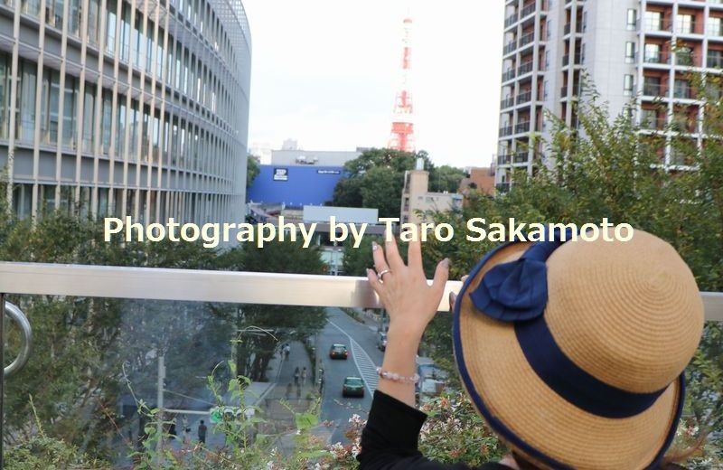 東京タワー ナンパ 50代